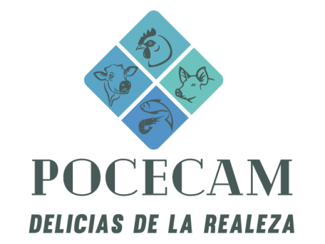 Pocecam